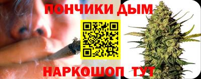 гидра Славгород