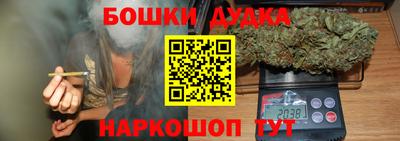гидра Славгород