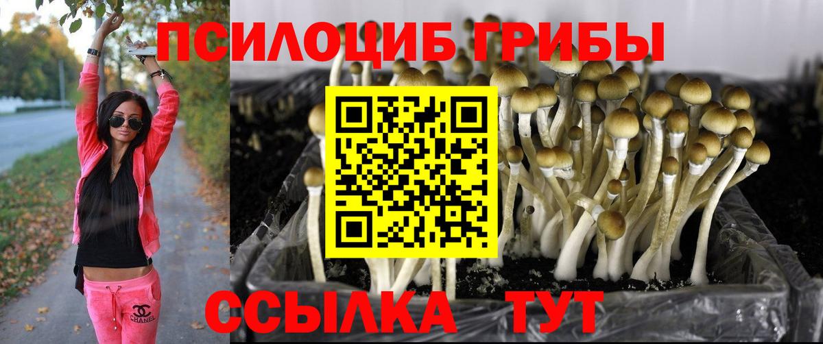 Отрадный  Псилоцибиновые грибы прущие грибы  Вход с VPN 